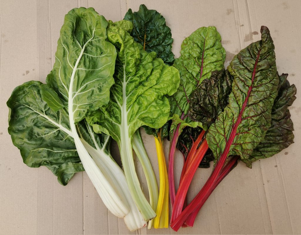 Schnittstelle Vertriebskollektiv Kritischer Konsum F r 